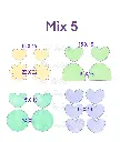 Mix_5 Dimensions bis.webp