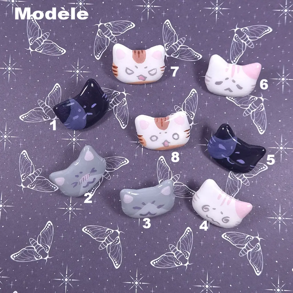 Modèle chat.webp