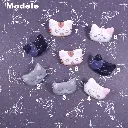 Modèle chat.webp