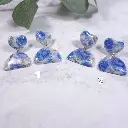 20241129_120624bis.webp
