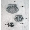 SHELL1 et 2 et 3- 2.webp