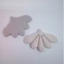 PEACOCK1-4.webp
