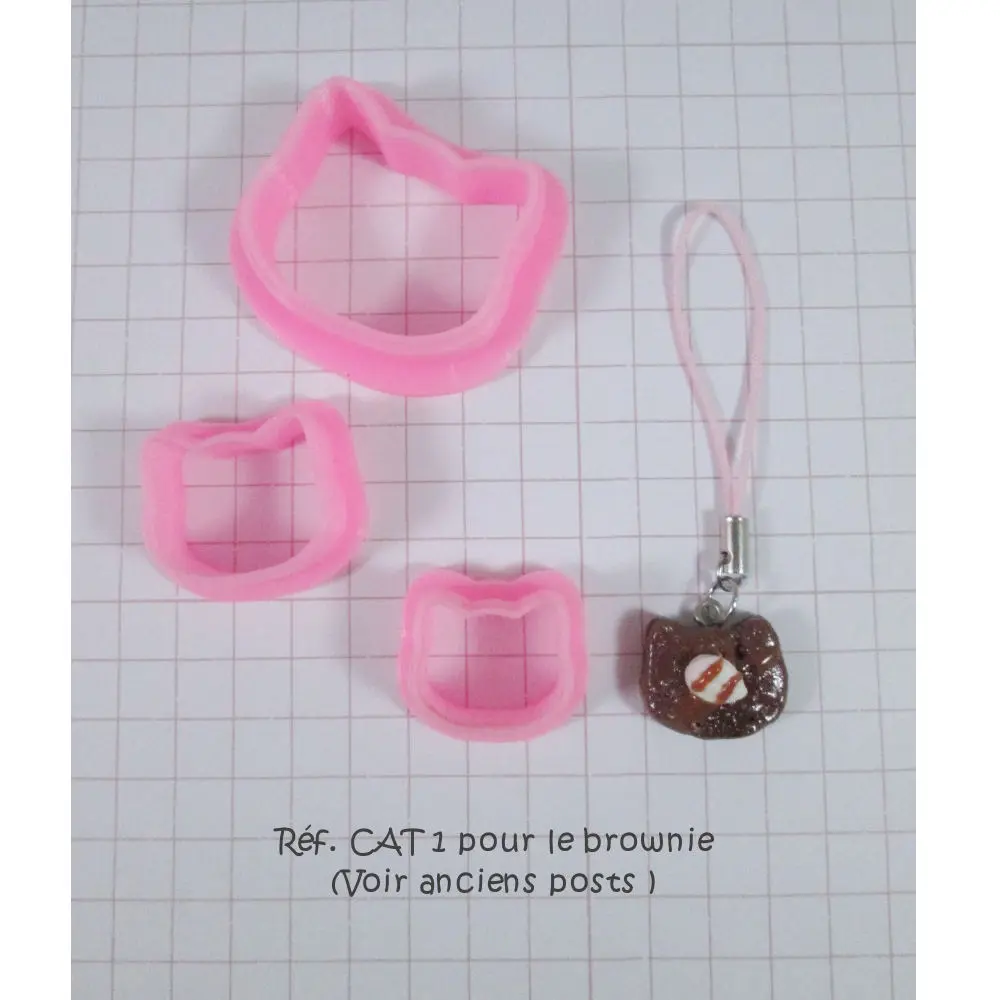 CAT5- 4.webp