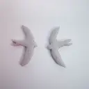SWALLOW1-4.webp