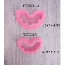 FESTOON 1- 2.webp