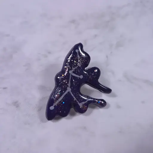 Pins Tortue ou Papillon Galaxie